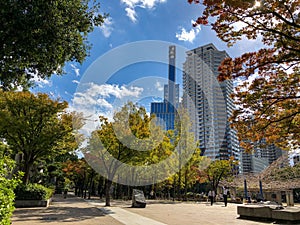 Cool autumn scene in Higashi Yuenchi park, Kobe, Japan