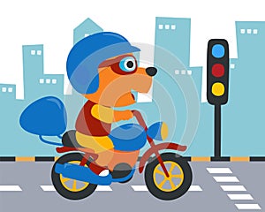 Cool bear and motorcycle funny animal cartoon,vector illustration. Creative vector childish background for fabric, textile,