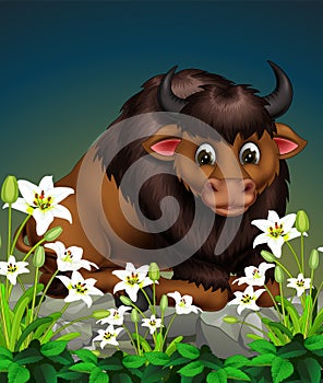 Cool Brown Buffalo With Rocks And White Ivy Flower Cartoon