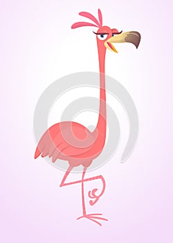 Cool carton pink flamingo bird. Vector illustration isolated. Poster design of sticker.