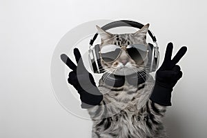 Cool cat with aviator sunglasses, headphones, and gloves makes peace sign Personality and charm galore