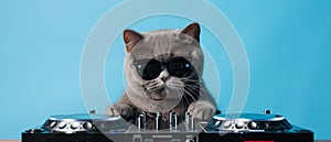 Cool cat DJ with sunglasses mixing music at a party, blue background.