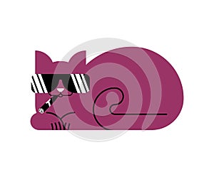 Cool cat with glasses. Serious cat with sunglasses