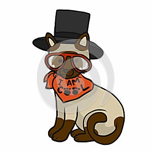 Cool cat wear hat and glasses cartoon illustration