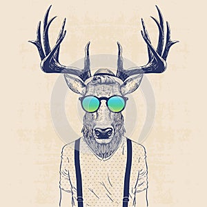 Cool deer