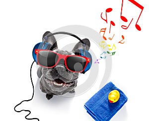 Dog with music earphones