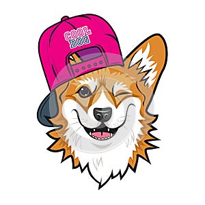 Cool dog welsh corgi face with pink cap. Color vector illustration