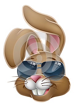 Cool Easter Bunny Rabbit in Sunglasses Cartoon