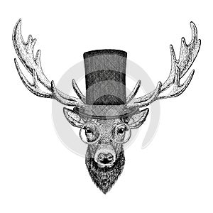 Cool fashionable deer Hipster animal Vintage style illustration for tattoo, logo, emblem, badge design