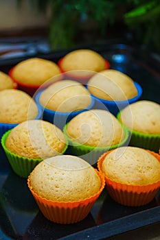 Cool freshly baked vanilla muffins on a metal sheet.