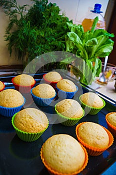 Cool freshly baked vanilla muffins on a metal sheet.