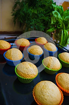 Cool freshly baked vanilla muffins on a metal sheet.