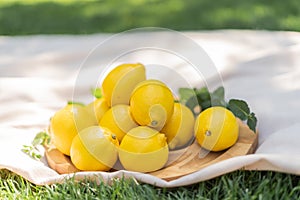 Cool freshly made lemonade and fruits