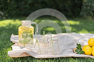 Cool freshly made lemonade and fruits