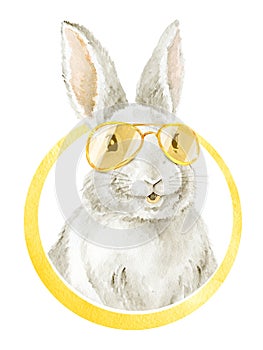 Cool Funny Bunny. Sunglasses look