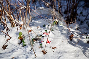 Cool funny Santa Claus with sun glasses sitting on the snow