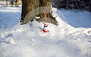 Cool funny Santa Claus with sun glasses sitting on the snow