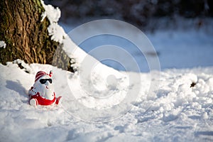 Cool funny Santa Claus with sun glasses on the snow