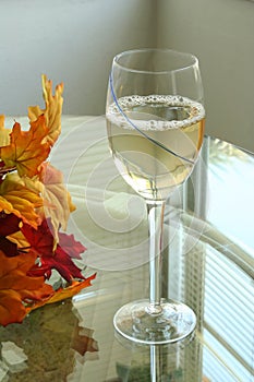 Cool glass of white wine 7