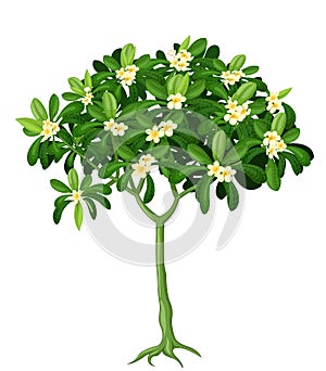 Cool Green Leaves White Flower Ivy Plant Cartoon