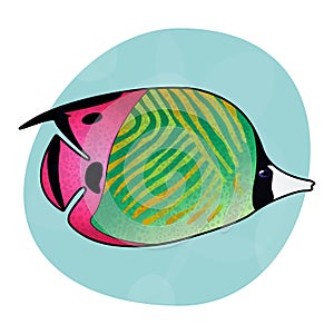 Cool green and pink tropical sea fish Threadfin Butterflyfish