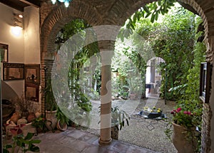 Cool interior courtyard in Cordoba, Spain photo