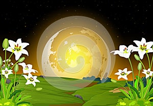 Cool Landscape Grass Field With Moonlight ANd White Flower View cartoon