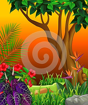Cool Landscape View With Trees, Hill, And Tropical Plants Cartoon