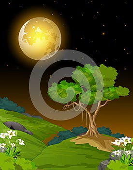 Cool Night Landscape View With Grass Field, Trees, And Flowers Cartoon