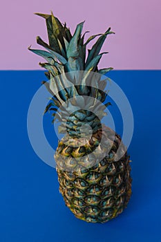 Cool pineaple and bright background