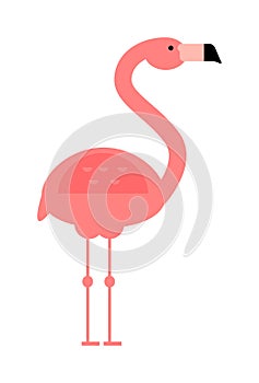 Cool pink decorative flat lovely and beauty flamingo exotic zoo animal vector illustration.