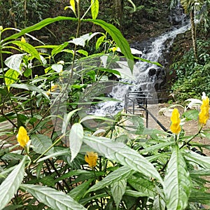 cool place to relaxcool place to relax next to flowing water