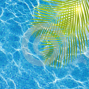 Cool pool water with palm tree