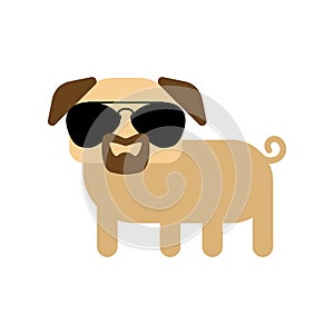 Cool pug with glasses and goatee beard