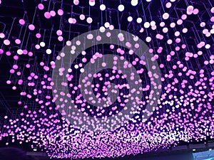 Cool Purple Light Installation Art in Gardens by the Bay Singapore photo