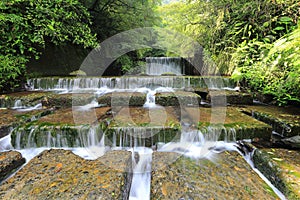 Cool refreshing cascades in a mysterious forest with sunlight shining through the lavish greenery