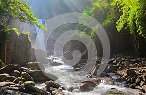 A cool refreshing waterfall in a mysterious forest with sunlight shining through the lavish greenery