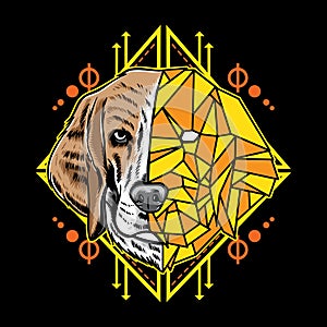 Cool sacred geometry beagle dog pet vector illustration. Isolated on black background