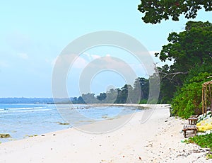 Cool and Secluded Beach with Littoral Forest - Laxmanpur, Neil Island, Andaman Nicobar, India