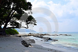 Cool Shade of Coastal Tree at Stony and Peaceful Beach - Landscape at Radhanagar Beach, Havelock Island, Andaman Nicobar, India