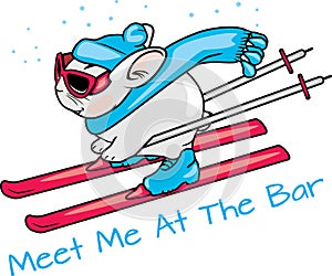 Cool skier. Meet me at the bar