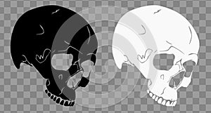 Cool Skulls SVG Vector Illustration