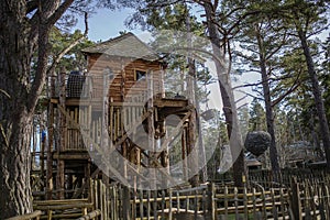 A cool treehouse in a forrest