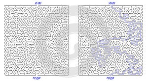 Cool vertical rectangular labyrinth with triangular cell. Huge labyrinth of high complexity with solution