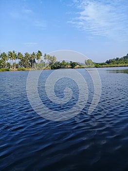 cool view in the morning from a pond in the village