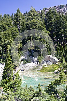 Cool Water Pool with Algae