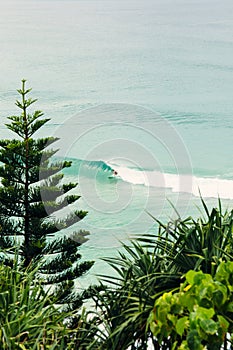 Coolangatta Surfers