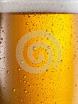 Cooled glass of beer close-up. Small water drops on cold surface of beer glass