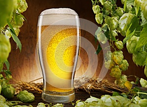 Cooled glass of beer with condensate drops and green hops arrange as a frame photo