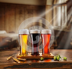 Cooled glasses of three different beer gleamed in the sun lights from window are on the old wooden table. Blurred interior of pub